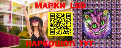 твердый Будённовск