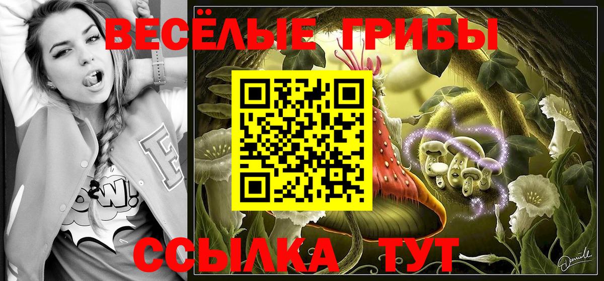 Галлюциногенные грибы Psilocybe  Вход с VPN  Шуя 